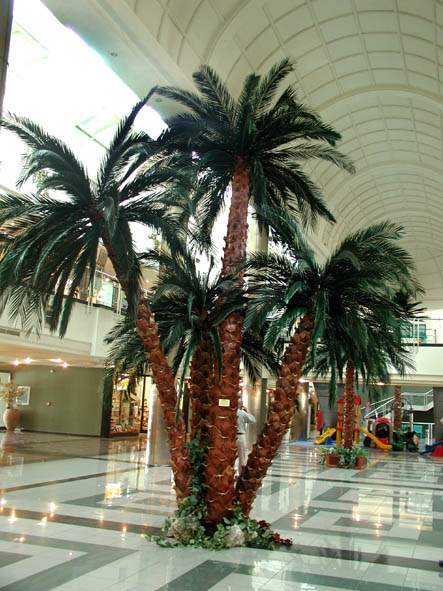 11275033_Artificial_Palm_Tree
