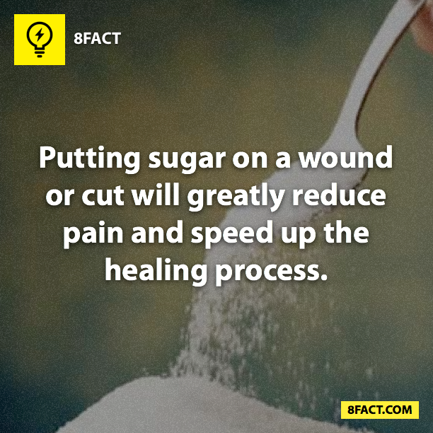 random facts , Putting sugar on a wound or cut will greatly reduce pain and speed up the healing process.