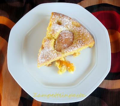 Torta di albicocche