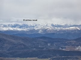 DSC01718 - copia
