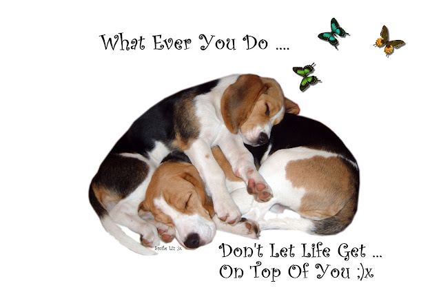 My Life My Story Through My Quotes And Poetry ... My Beagle Smiles Help Me