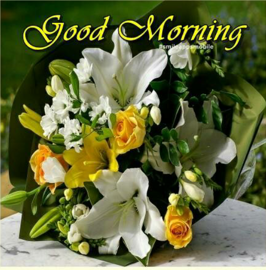 Good Morning Wishes Messages Sms Quotes In 2018 Wallpapers