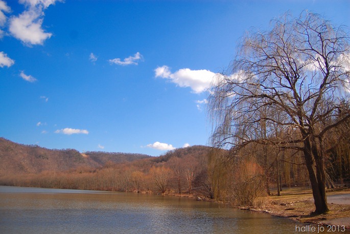 PA113