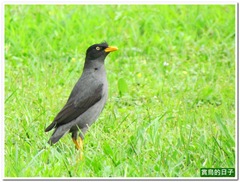 20110506_163644_104