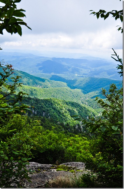 MT Mitchell view