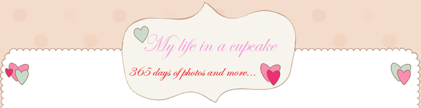 My life in a cupcake