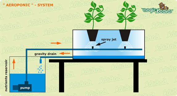 Aeroponics system