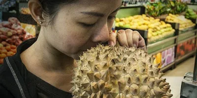 7 CARA MENENTUKKAN BUAH DURIAN MATANG MANIS DAN BERDAGING