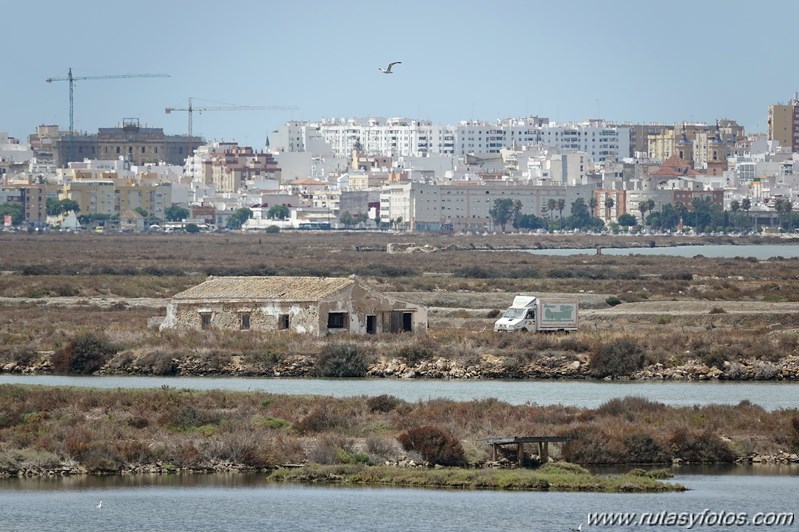 Ruta de los Esteros (Chiclana)