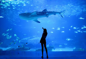 Lady posing at aquarium