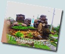 WP_000136