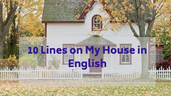 10 Lines on My House in English