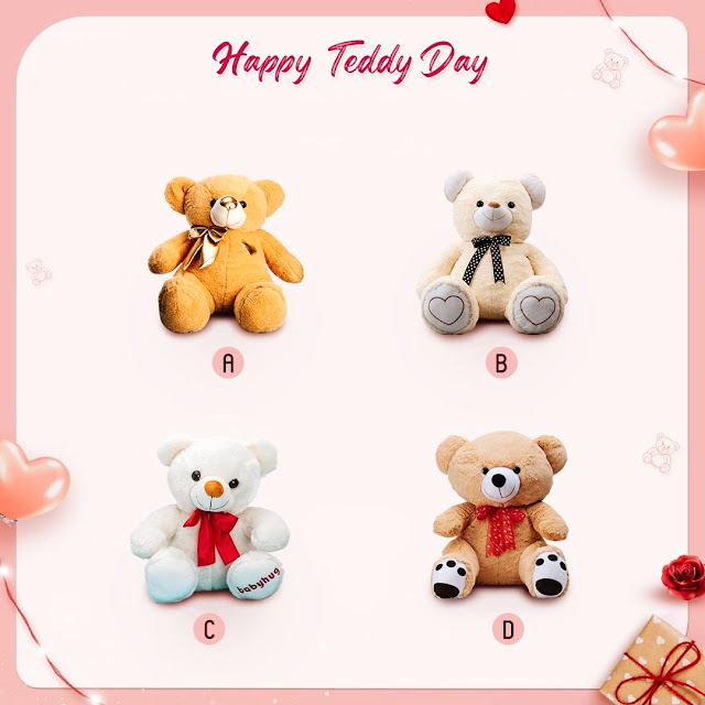 Teddy Day Photo HD