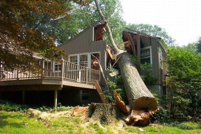 New Crazy Funny Pictures from the World