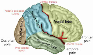 Improving your memory