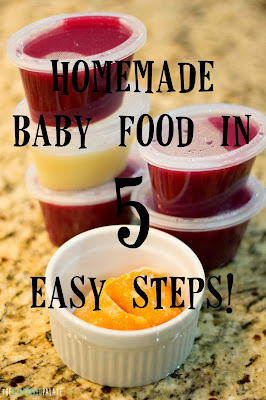 http://www.theweatheredpalate.com/2014/11/homemade-baby-food-in-5-easy-steps.html