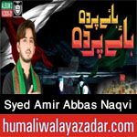 https://aliwalayazadar.blogspot.com/2020/08/syed-amir-abbas-naqvi-nohay-2021.html