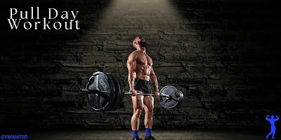Pull Day Workout