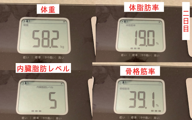 栄養機能食品　食事　プロテイン　スムージー