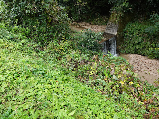 鳥取県西伯郡南部町の金山集落