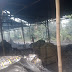 Bau Menyengat, Peleburan Alumunium di Desa Gunung Kaler Kabupaten Tangerang "Dikeluhkan Warga Carenang Kabupaten Serang