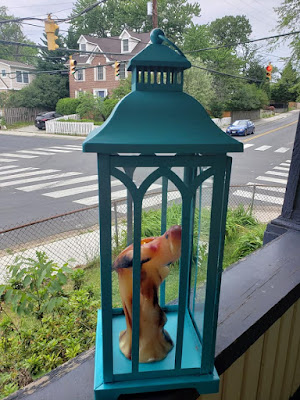 Aqua blue lantern with parrot shaped candle inside