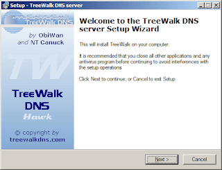 Setup Caching DNS Server using TreeWalk