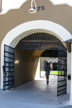 IMG_7469