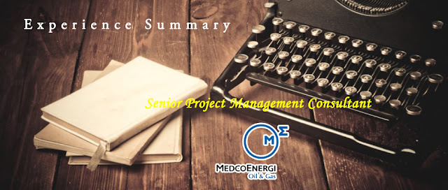 Medco E&amp;P Indonesia, Senior Project Management Consultant