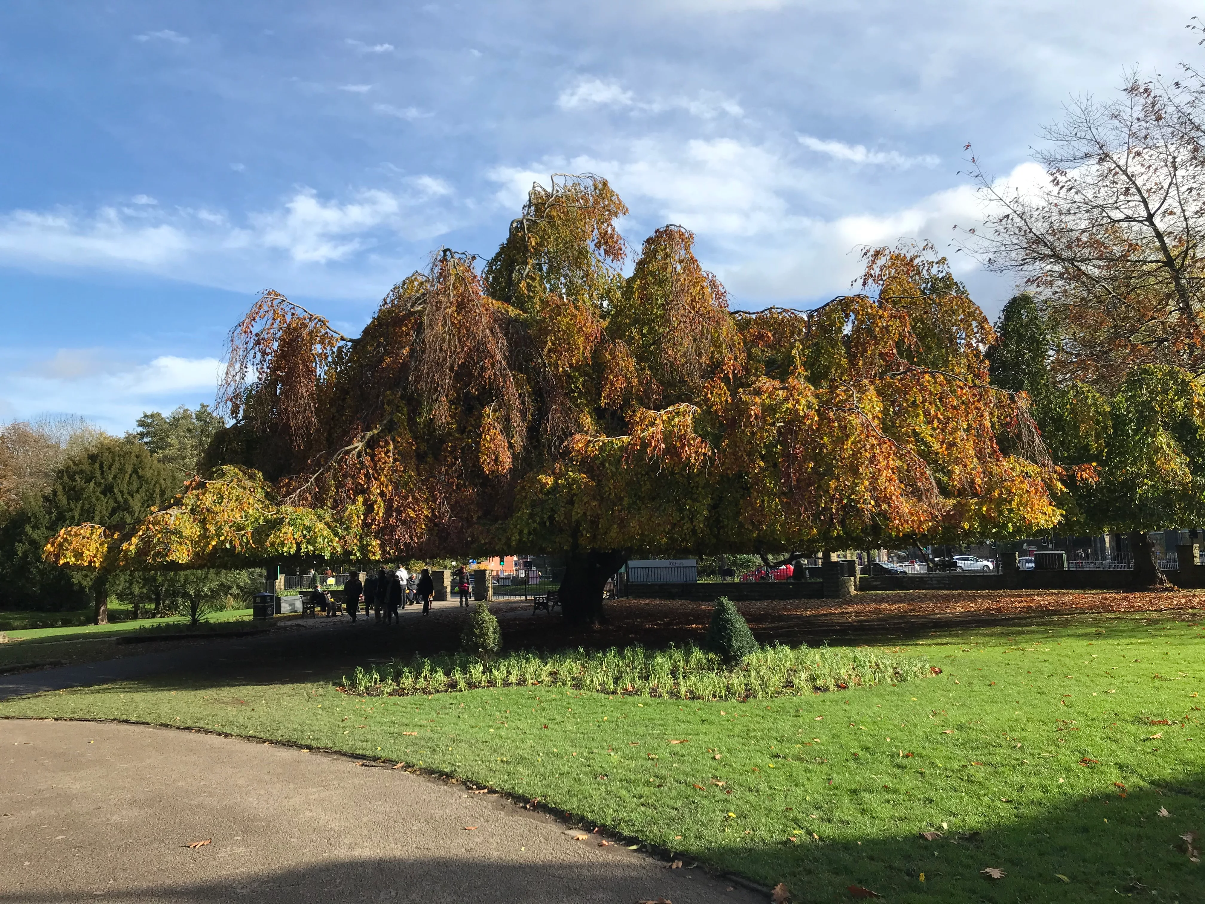 Endcliffe Park Sheffield