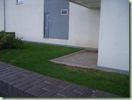 CIMG4247