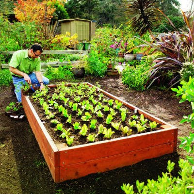  Ground Garden Beds on Sept The Deck Is Raised 300mm Above Ground To Provide An Elevated View