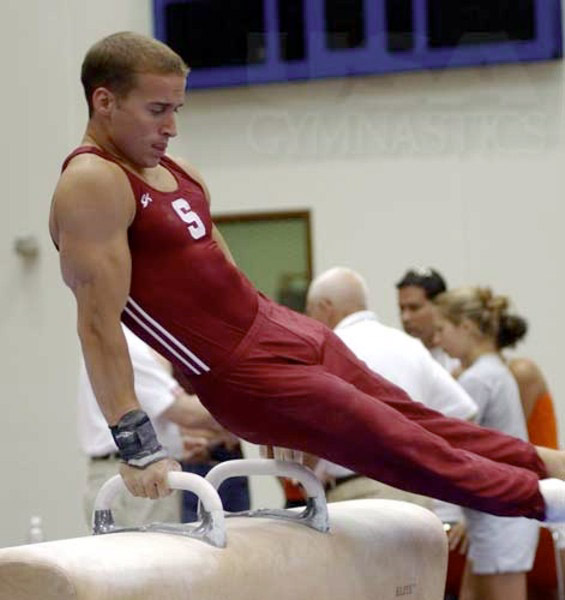 Sexy male gymnasts