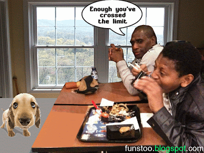 funny restaurant cafe stories