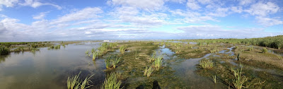 Wonderful Danube Delta