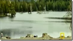 Capture51