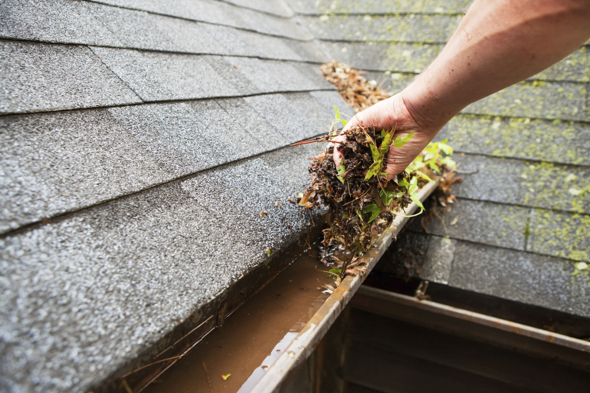 gutter-cleaning-north-york