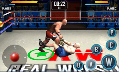 Real Wrestling 3D Apk v1.6