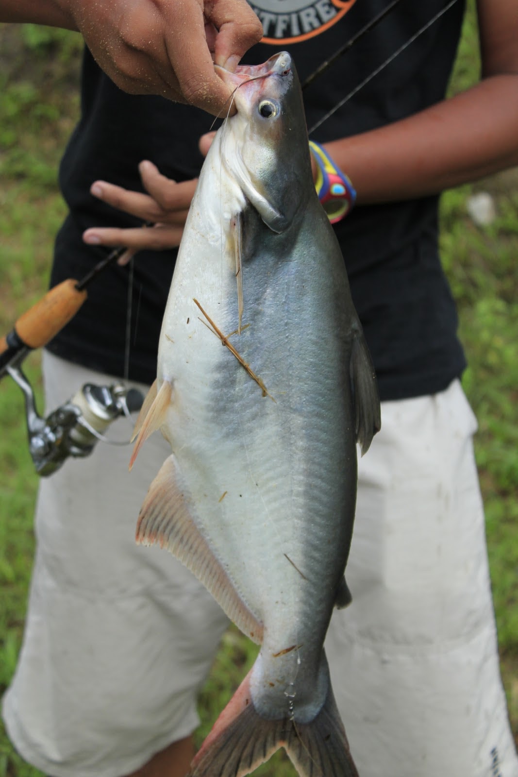 D' Sungai Lepoh Chalet & Kem: Jom memancing @ D' Sg. Lepoh