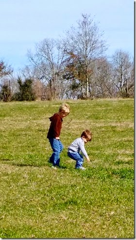 IMG_20150131_104813794