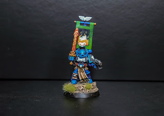 Salamanders librarian