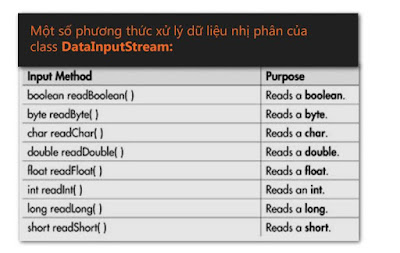 DataInputStream trong lập trình java