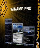 Winamp Pro 5.63
