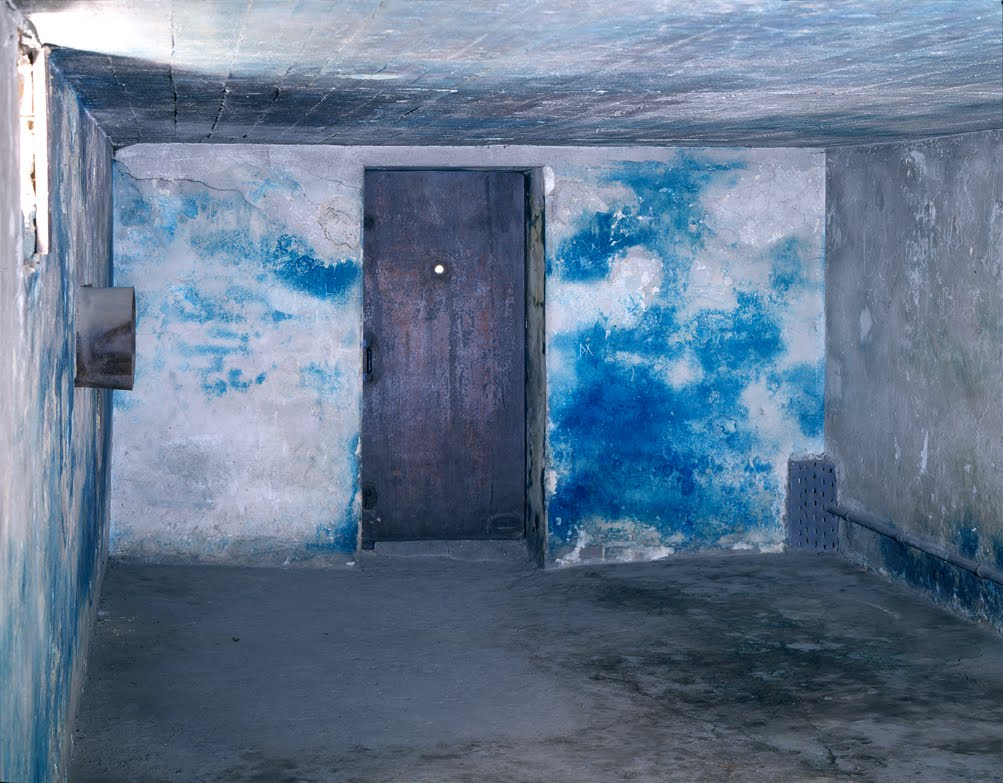 gas chambers in holocaust. The Majdanek delousing chamber