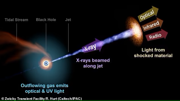 1,000 TRILLION times brighter than suns: Star 'squeezed like a toothpaste tube' by supermassive black hol