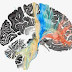 Revolutionizing Treatment New Brain Mapping Techniques Transform Deep Brain Stimulation for Young OCD Patient