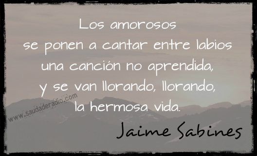 "Los amorosos se ponen a cantar entre labios  una canción no aprendida,  y se van llorando, llorando,  la hermosa vida." Jaime Sabines