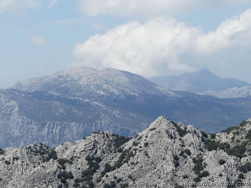 Montejaque - Ventana - Tunio - Palo - Martin Gil - Arenitas - Cortes de la Frontera