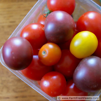 http://www.farmfreshfeasts.com/2015/08/sun-gold-tomato-panzanella-with.html
