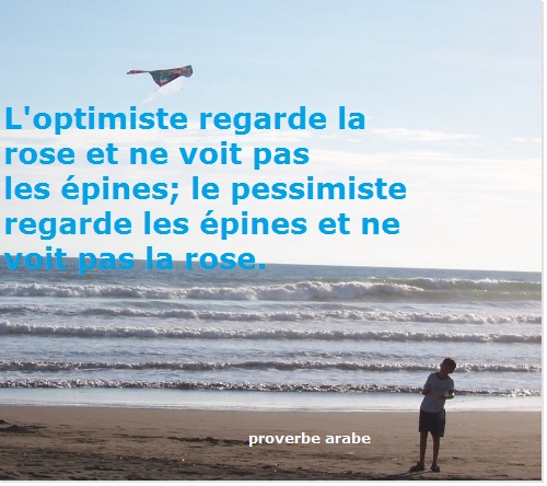 Des Proverbes Sur La Vie En Arabe